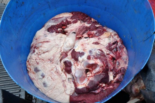 Carne sem origem estaria altamente contaminada e poderia ter bactérias e doenças como brucelose ou tuberculose. (Foto: Radar64)